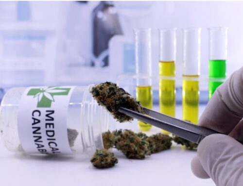 The Startling Discrepancy: Maine’s Cannabis Testing Reveals A Concerning Trend