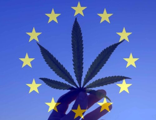 Europe’s Medical Cannabis Market Expected to Reach USD 11 Billion by 2032