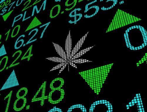 Cannabis Stocks Rally as U.S. Rescheduling Debate Heats Up