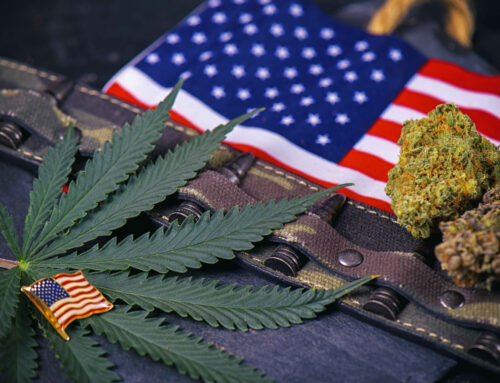 U.S. House Committee Advances Cannabis and Psychedelics Research Bills for Veterans
