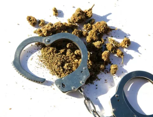 Federal Indictment Uncovers Extensive Illegal Cannabis Operation on Navajo Nation