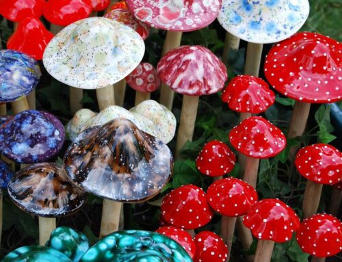 FDA Restricts Psychoactive Mushroom in Edibles