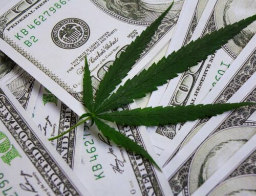 U.S. Legal Cannabis Market Forecasted to Surpass $31 Billion in Sales in 2024