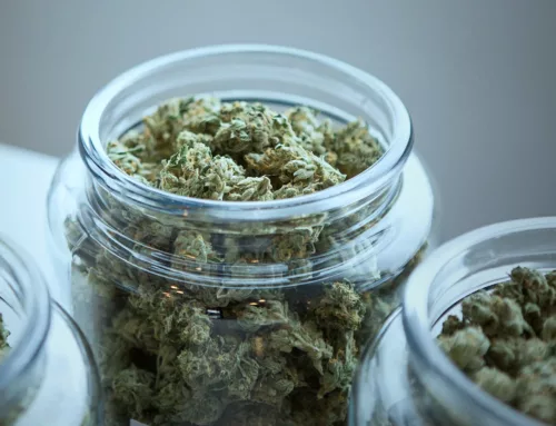 Fergus Falls City Council Approves Cannabis Dispensary Permits After Reversal