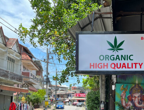 Thailand Reverses Course on Recreational Cannabis