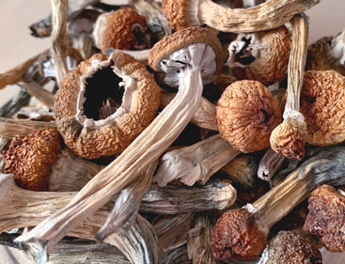 Psychedelic Drugs Market Projects Significant Growth Through 2029