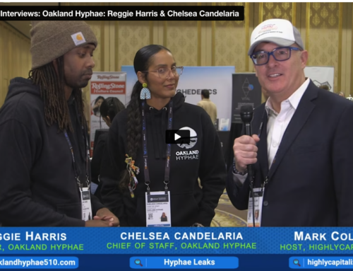 reMind Interviews: Oakland Hyphae: Reggie Harris & Chelsea Candelaria
