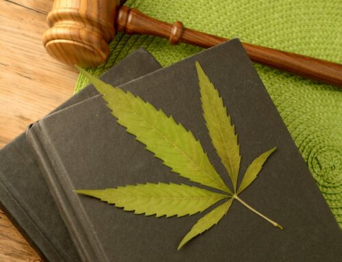 Alabama Judge Considers Easing Restrictions on Medical Cannabis Licensing