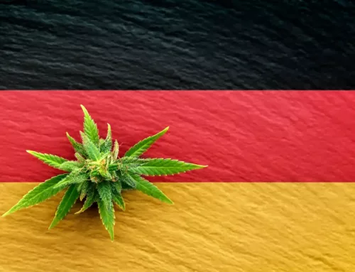 Germany Takes a Historic Step by Legalizing Cannabis for Adult Use