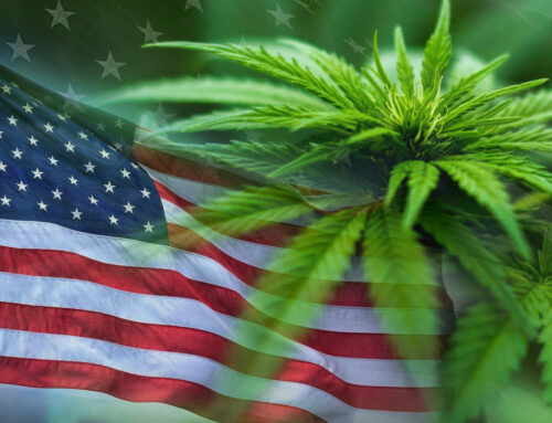 U.S. and State Legislators Address Diverse Cannabis-Related Issues