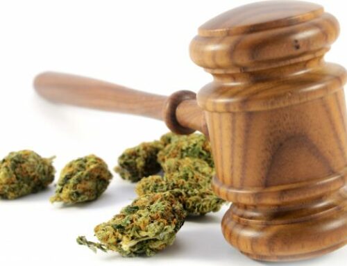 Nebraska Judge Upholds Voter-Approved Medical Cannabis Initiatives