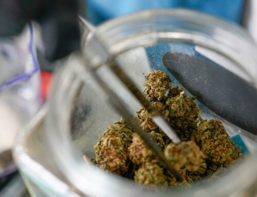 Upcoming Cannabis Legislation: Initiatives in Nebraska, Idaho, and Arkansas