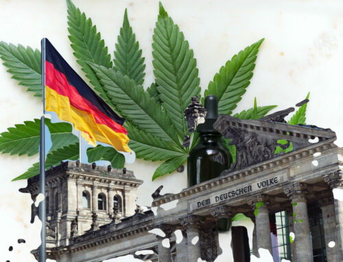 Germany Ushers in a New Era with Adult-Use Cannabis Legalization