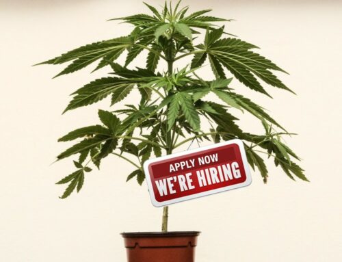 Cannabis Industry on Track to Deliver 800,000 American Jobs by 2028