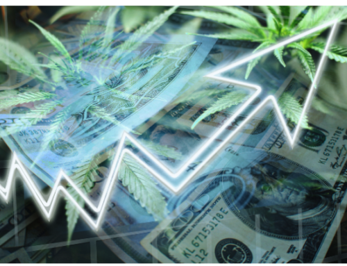 Analysis: Adult-Use Cannabis Markets Generate Over $20 Billion in State Tax Revenue