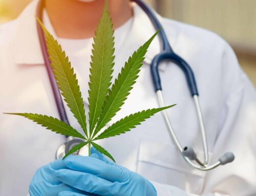 Idaho Medical Cannabis Initiative Gains Momentum Amid New Signature Drive