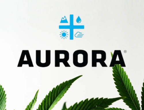 Aurora Cannabis Reports Q4 2024 Financial Results