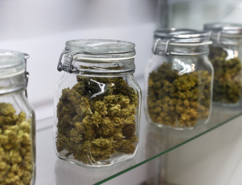 North Carolina Senate Advances Medical Cannabis Legislation