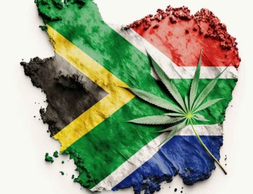 South Africa Legalizes Cannabis for Personal Use