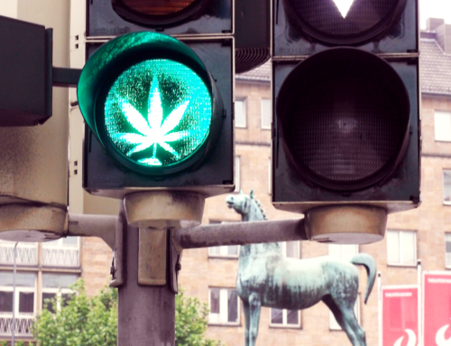 Germany’s Cannabis Law: Maximizing Yield with the Three-Plant Limit