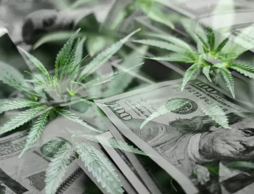 Global Medical Cannabis Market Projected to Reach $77.13 Billion by 2032