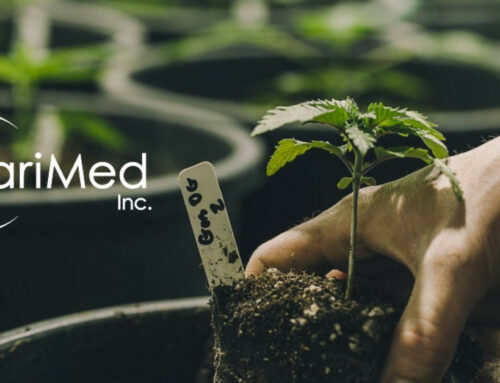 MariMed Launches Wholesale Cannabis Operations in Missouri