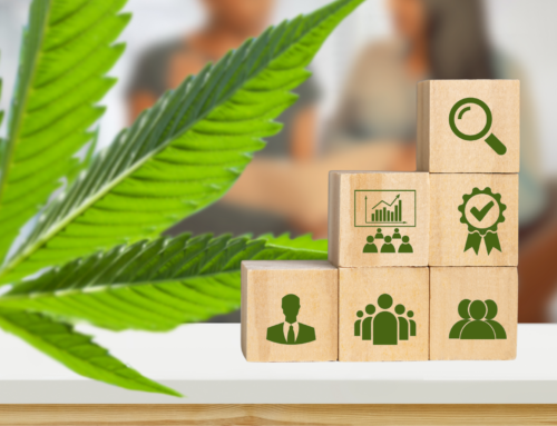 Critical Factors for Optimizing the Employee Lifecycle in Cannabis Businesses