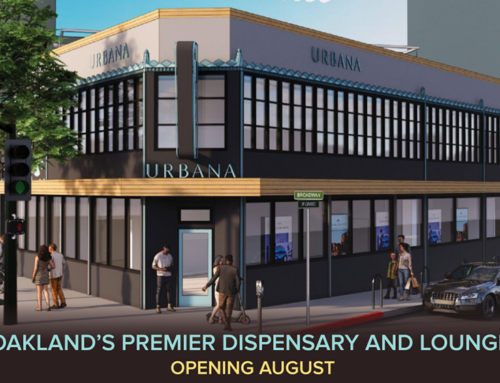 Urbana Breathes New Life into Historic Luka’s Taproom with a New Cannabis Dispensary and Lounge in Oakland