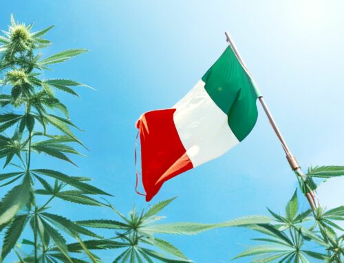 Discovering Investment Opportunities in Italy’s Cannabis Market