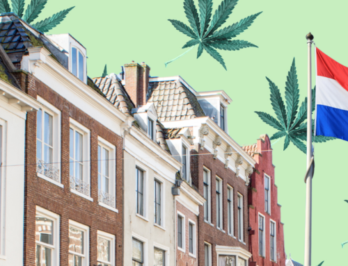 European Cannabis Update: Embracing the Growing Dutch Medical Cannabis Market