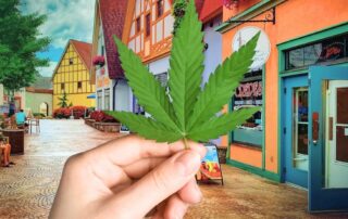 Exploring the Opportunities in Germany's Cannabis Market: Investment and Innovation