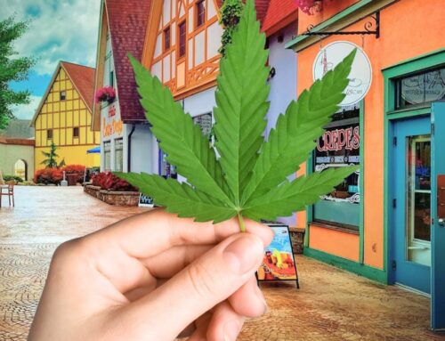 Cannabis Opportunities in Germany: Positive Outlook for Investment and Innovation