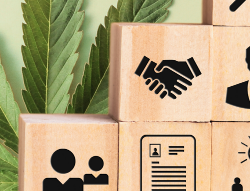 Shared Liability in Cannabis: A Smarter Approach to Managing Employee Compliance with Paylient