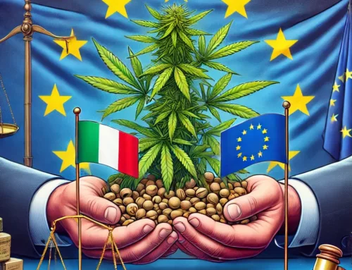 EU Investigates Italy’s Proposed Ban on CBD and Hemp Flowers