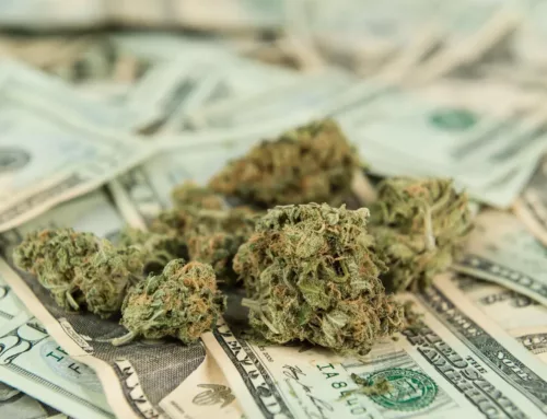 Legal Cannabis Shows Economic Gains and Stable Teen Use Trends