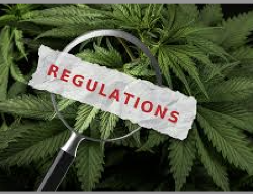 What Entrepreneurs Need to Know Regulatory Compliance Costs