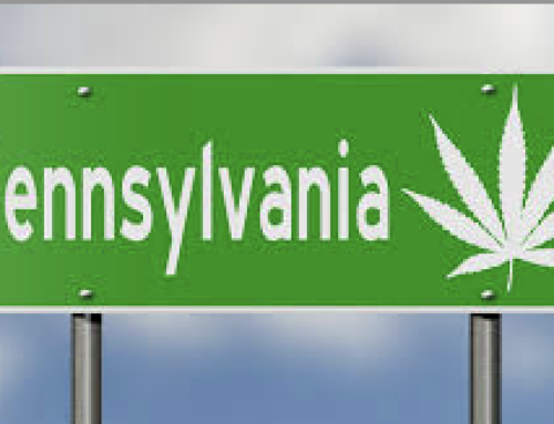 Analysis: Pennsylvania’s Cannabis Industry: Current Growth and Future Projections