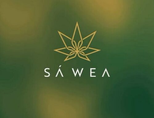 Sà Wea: Pioneering African Heritage and E-Commerce Innovation in the Luxury Cannabis Industry