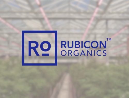 Rubicon Organics Reports Q2 2025 Financial Results