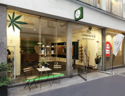 Analysis: Germany Legalized Cannabis. Now the Real Work Begins.