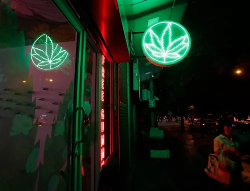 Thailand Moves to Restrict Cannabis Use to Medical Purposes Within 40 Days