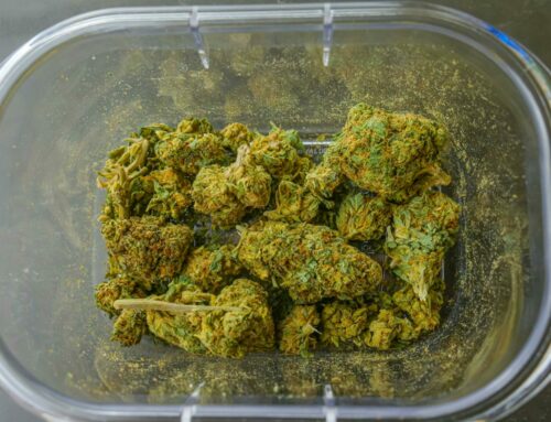 New Zealand Delegation Led by Zoë Reece Targets Multibillion‑Dollar European Medicinal Cannabis Market