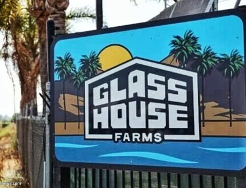 Glass House Raid Sparks Industry Fears and Rival Tensions