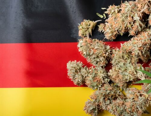 ANALYSIS: Germany’s Dual Medical Cannabis Market: A Tale of Two Systems