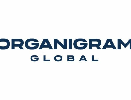 Organigram Global Launches Collective Project THC Beverages in 25 U.S. States