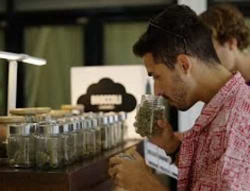 Verano Reimagines Cannabis Retail with Bodega-Style Store in Phoenix