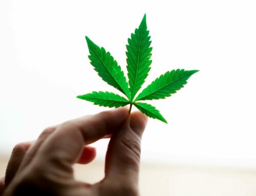 Nebraska Reverses Access to Botanical Cannabis Under Emergency Regulations