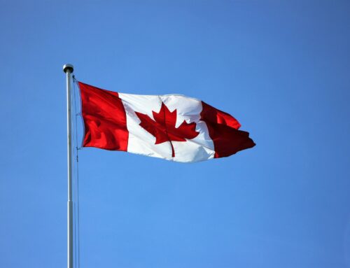 Canadian Court Sides with Psychedelic Therapy Advocates in Psilocybin Exemption Case