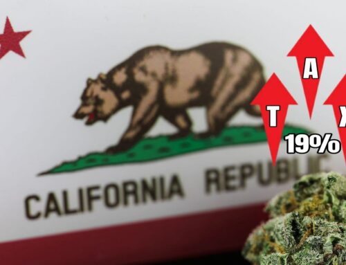 California’s Cannabis Industry Faces Meltdown as New Tax Hike Looms