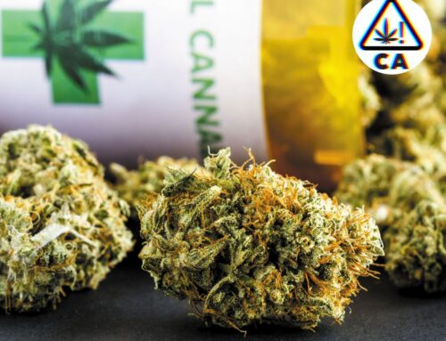 Rolling into Wellness 4 in 10 Californians Choose Cannabis, Study Reveals